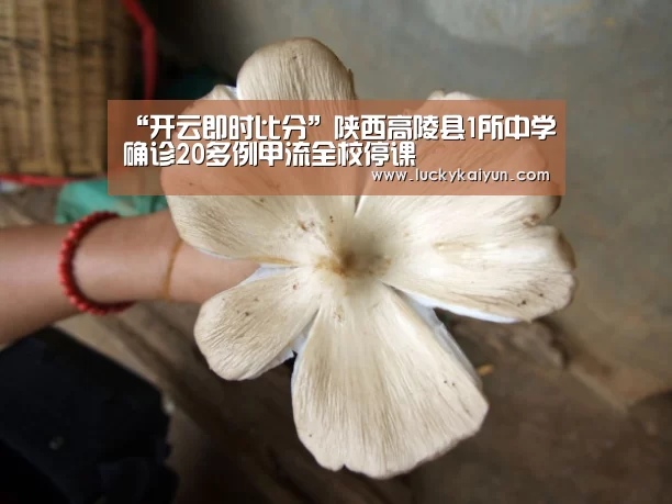 开云即时比分