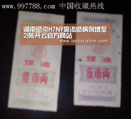 开云官方网站