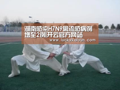 开云官方网站