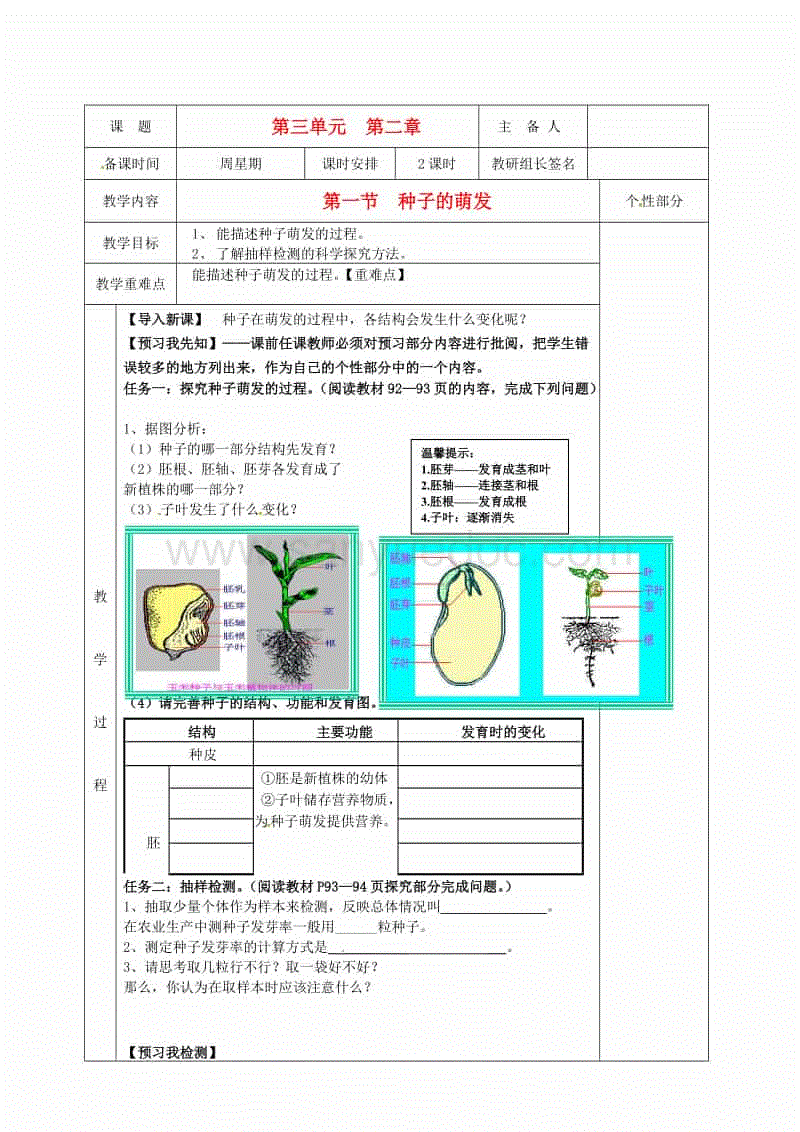 开云即时比分