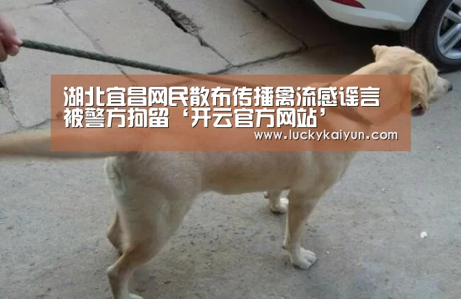 开云官方网站
